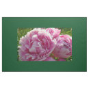 Search for pink peony fabric Peonies