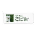 Search for maltese dog return address labels Dogs