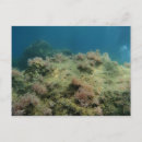 Search for scape postcards Sea