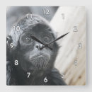 Search for monkey clocks Fun