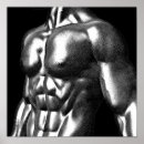 Search for torso posters Drawing