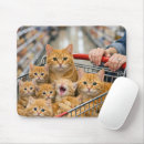 Search for ginger cat mousepads Orange