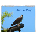 Search for birds of prey calendars Osprey