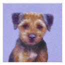 Search for border terriers posters Dog