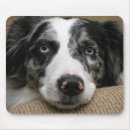 Search for australian mousepads Dog