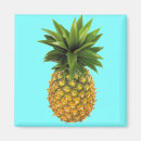 Search for tasty square magnets Food