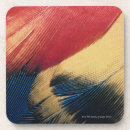 Search for surface coasters Yellow