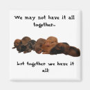 Search for doxies magnets Puppies