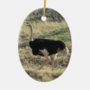 Search for ostrich christmas tree decorations Animal