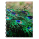 Search for peacock feathers notebooks Plumage