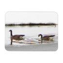 Search for geese magnets Goose