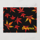 Search for ontario postcards Autumn