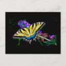 Search for swallowtail postcards Garden