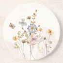 Search for dried coasters Summer
