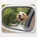 Search for window mousepads Cute
