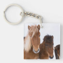 Search for cute horse key rings Foal