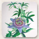 Search for passion coasters Nature