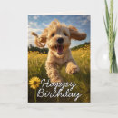 Search for cockapoo cards From the dog