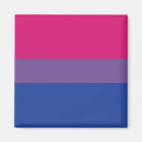 Search for bis magnets Pride