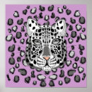 Search for snow leopard posters Animals