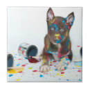 Search for husky Alaskan malamute