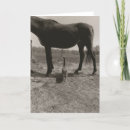Search for funny horse cards Farm