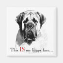 Search for mastiffs magnets Old english mastiff