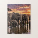 Search for african safari puzzles Animals