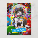 Search for grumpy cat invitations Cute