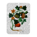 Search for squash magnets Vintage