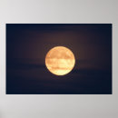 Search for night scene posters Dark