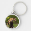 Search for red squirrel key rings Cute