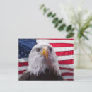 Search for bald eagle and american flag postcards Bird