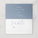 Search for calligraphy wedding place cards Dusty blue