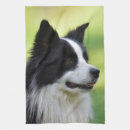 Search for collie tea towels Animal