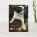 Search for fun 50th birthday cards Dog