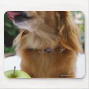 Search for singapore mousepads Close up