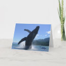 Search for humpback cards Alaska