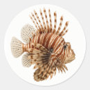 Search for ocean reef stickers Marine life