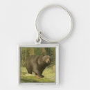 Search for bearing key rings Brown bear