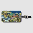 Search for elkhorn Coral