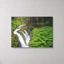 Search for environment canvas prints National park