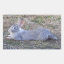 Search for bunny tail stickers Bunnies