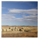 Search for bale tiles Countryside