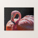 Search for flamingo puzzles Fun