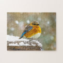 Search for bluebird puzzles Snow
