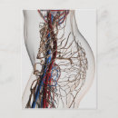 Search for biomedical postcards Artery