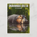 Search for botswana travel postcards Animal
