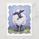 Search for comical sheep postcards Lamb
