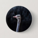 Search for portrait badges Birds